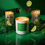 3-Wick Coconut Wax Candle - Persona - Charmer - 24 oz Jar
