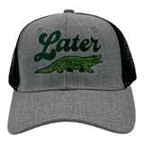Later Alligator
