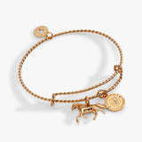 Alex & Ani Horse Rope Textured Charm Bangle