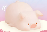 Piggy Squishy