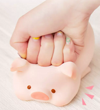 Piggy Squishy