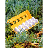 Matching Easter Egg Set