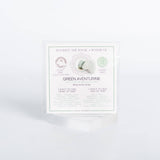 MANIFEST THE MAGIC + POWER OF YOUR CRYSTAL GREEN AVENTURINE