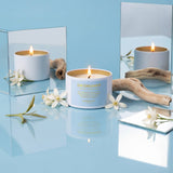 Coconut Wax Candle - Persona - Daydreamer - 3 oz Tin