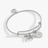Alex & Ani Horse Rope Textured Charm Bangle