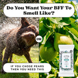 Pet~Pourri - Pet Coat Wipes - 50ct - Pawsitively Fresh Scent
