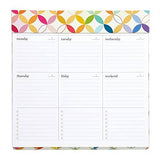 Erin Condren Design - Weekly Schedule Pad - Mid Century Circles